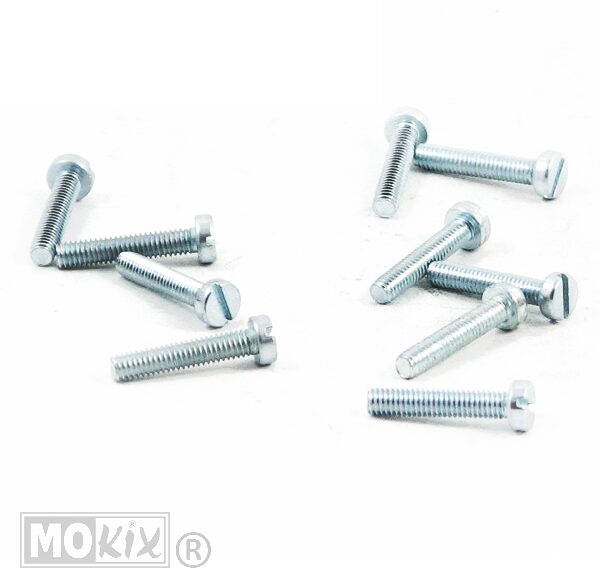 Metaalschroef M4x40 Elvz 10stuks - Bollard