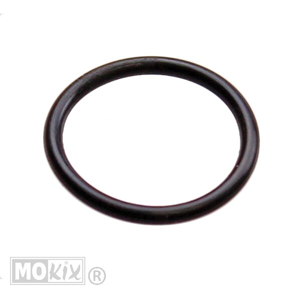 O-Ring  19  x1.5 Derbi/Piaggio Oliepomp (1)