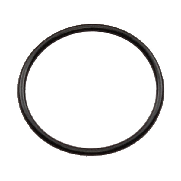 O-Ring 19 x1.2 Derbi Oliepomp (1)