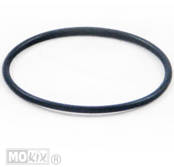PIA O-Ring T.B.V. Voorvork - Piaggio