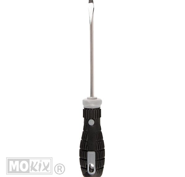 19-59521 SCHROEVENDRAAIER LAMPA 0.8x4.0x100mm