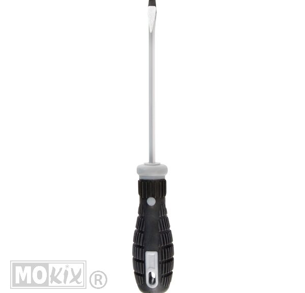 19-59522 SCHROEVENDRAAIER LAMPA 1.0x5.5x125mm