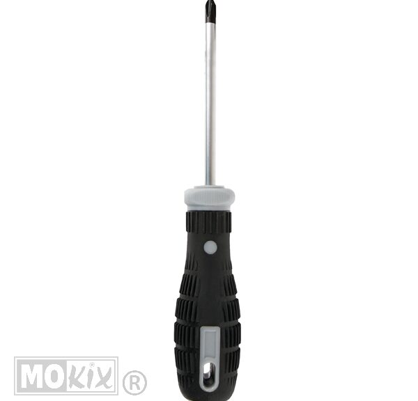 19-59530 SCHROEVENDRAAIER KRUISKOP LAMPA PH2X100