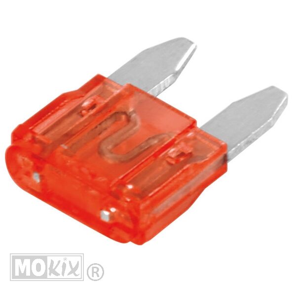 Zekeringen Steek Mini 10.9 X 3.8 10 Ampere (100) - Lampa