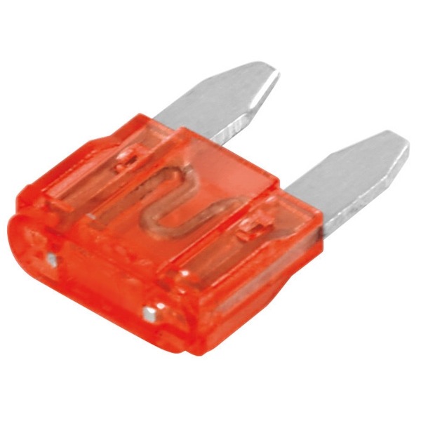 Zekeringen Steek Mini 10.9 X 3.8 10 Ampere (100) - Lampa