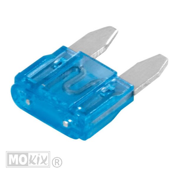 Zekeringen Steek Mini 10.9 X 3.8 15 Ampere (100)