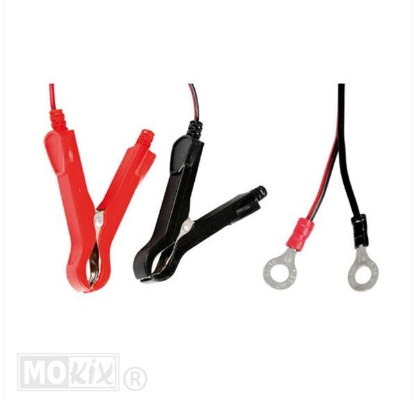 Accu Lader Lithium-Plus 12V 3.8A Lampa