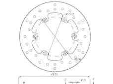 Remschijf APR RX50/YA DT50R >97 Voor 230x112x4 IGM