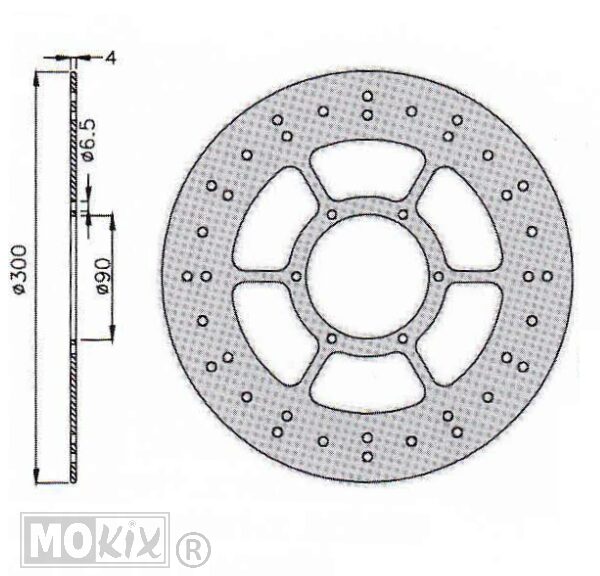 Remschijf Derbi GPR Voor 300x90x4 IGM