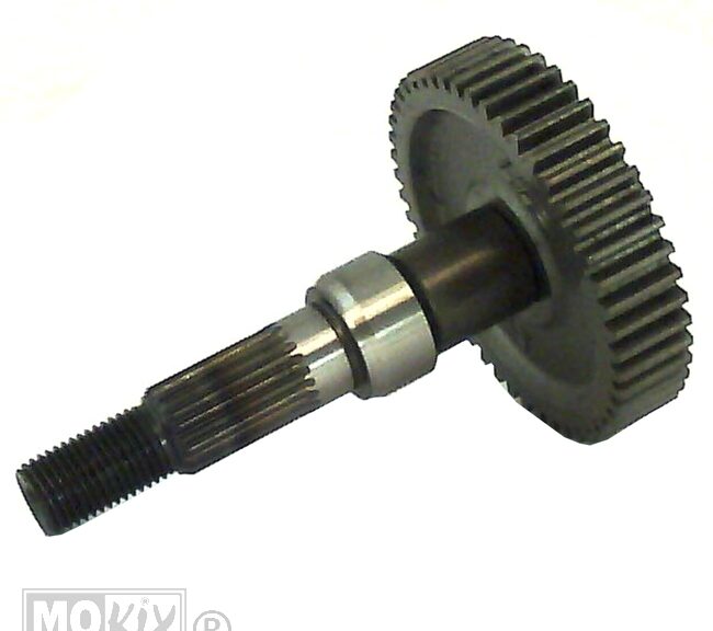 Achteras SYM MIO Compleet ORG