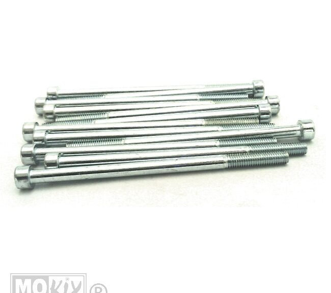 214310 INBUS-BOUT M 6x110 ELVZ 12stuks