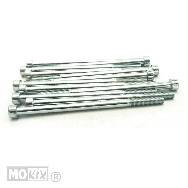 Inbus-Bout M 6x110 Elvz 12stuks - Bollard