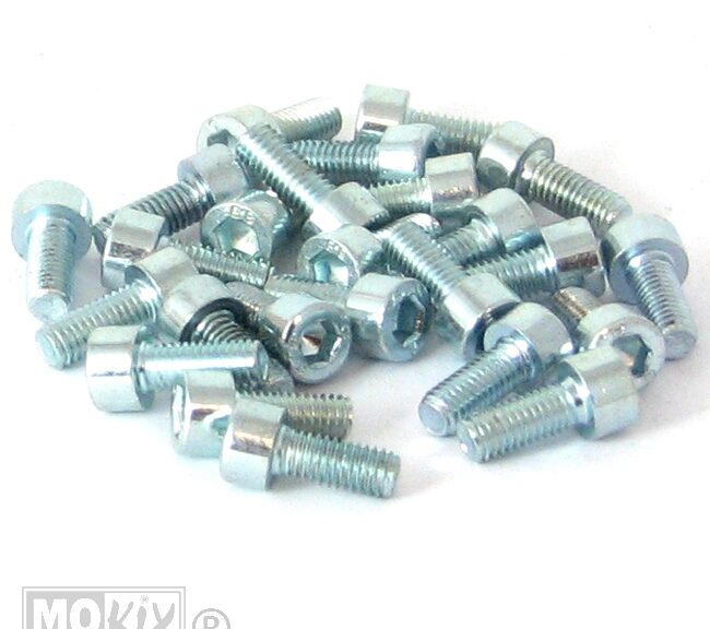 Inbus-Bout M 5x10 Elvz 25stuks - Bollard