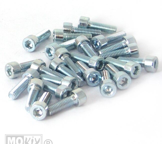 Inbus-Bout M 5x16 Elvz 25stuks - Bollard