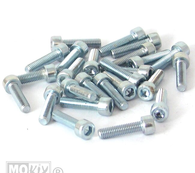 Inbus-Bout M 5x20 Elvz 25stuks - Bollard