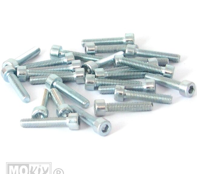 Inbus-Bout M 5x25 Elvz 25stuks - Bollard