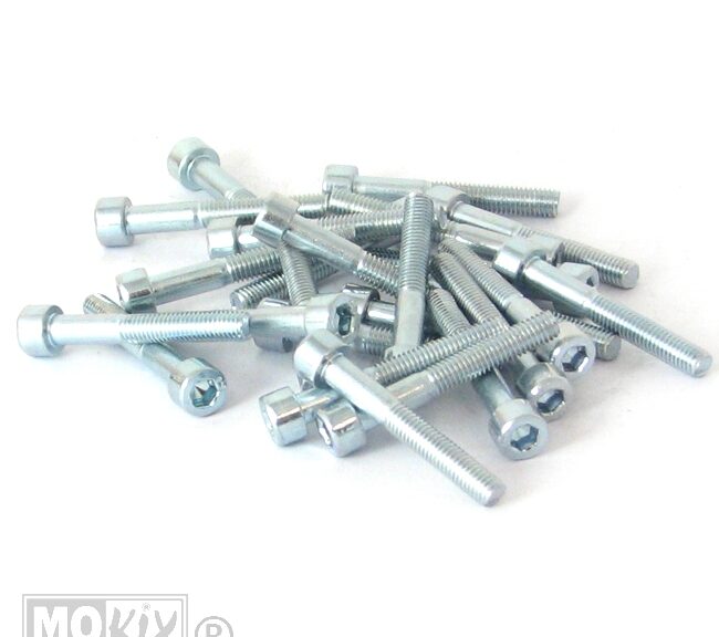 Inbus-Bout M 5x35 Elvz 25stuks - Bollard