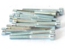 Inbus-Bout M 5x40 Elvz 12stuks - Bollard