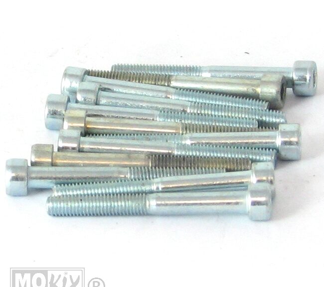 214540 INBUS-BOUT M 5x40 ELVZ 12stuks