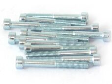 Inbus-Bout M 5x45 Elvz 12stuks - Bollard