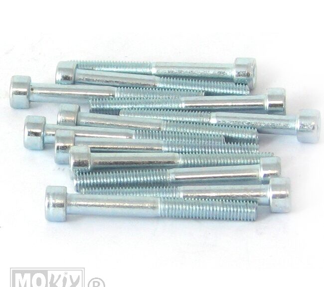 214545 INBUS-BOUT M 5x45 ELVZ 12stuks