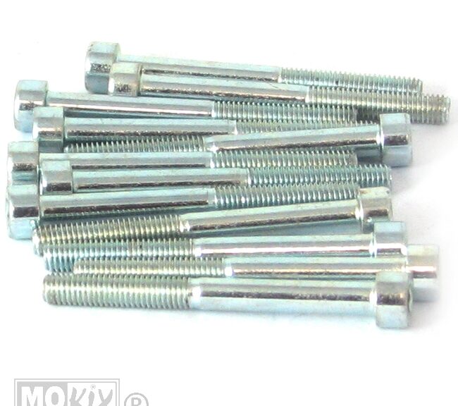 Inbus-Bout M 5x50 Elvz 12stuks - Bollard