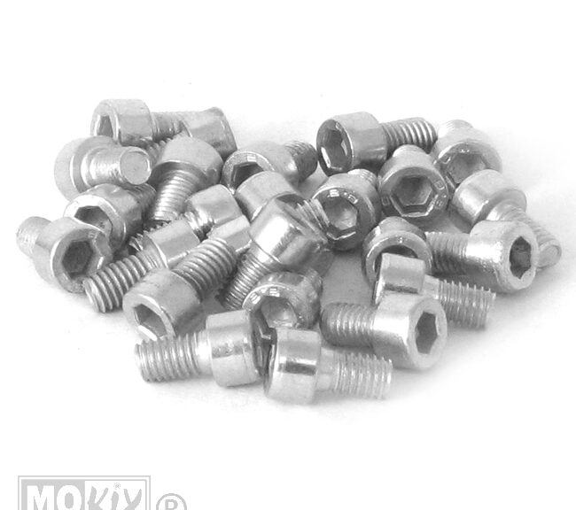 Inbus-Bout M 6x 10 Elvz 25stuks - Bollard