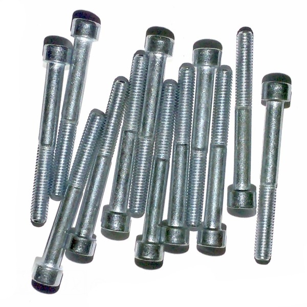 Inbus-Bout M 6x 55 Elvz 12stuks - Bollard
