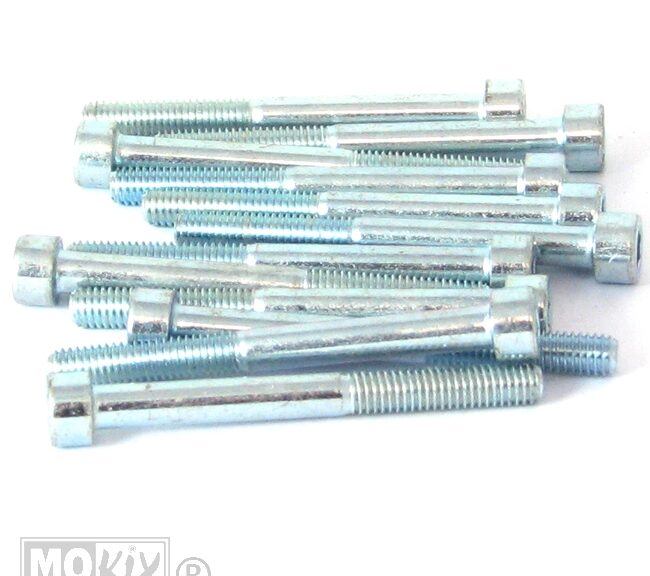 214660 INBUS-BOUT M 6x 60 ELVZ 12stuks