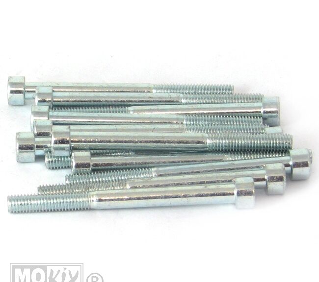 214670 INBUS-BOUT M 6x 70 ELVZ 12stuks