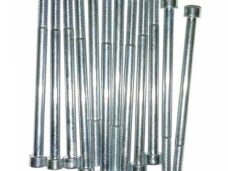 Inbus-Bout M 6x100 Elvz 12stuks - Bollard