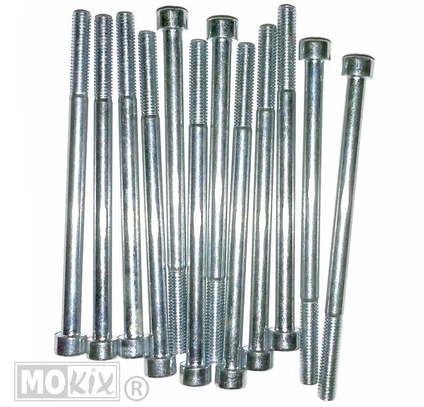 214695 INBUS-BOUT M 6x100 ELVZ 12stuks