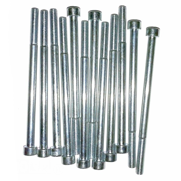 Inbus-Bout M 6x100 Elvz 12stuks - Bollard