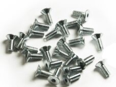 Rempomp-Deksel Schoef M4x10 (25)
