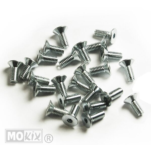 Rempomp-Deksel Schoef M4x10 (25)