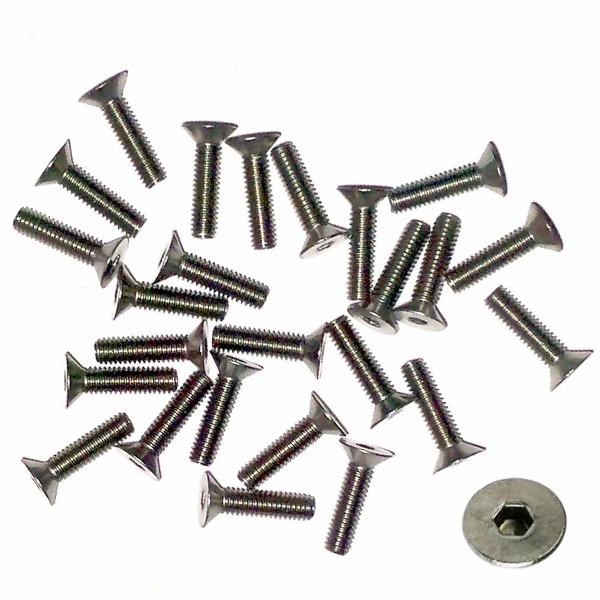 Rempomp-Deksel Schroef M4x16 RVS (25)