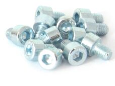Inbus-Bout M 8x10 Elvz 12stuks - Bollard