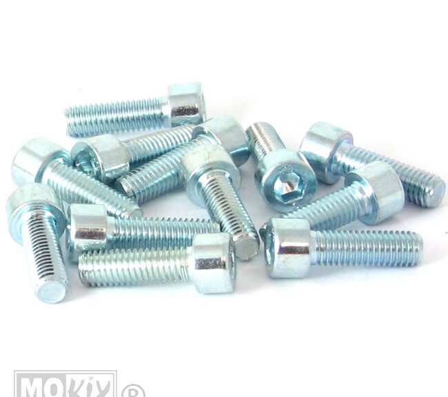 Inbus-Bout M 8x25 Elvz 12stuks - Bollard