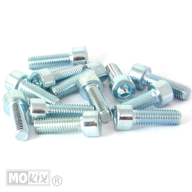 Inbus-Bout M 8x25 Elvz 12stuks - Bollard