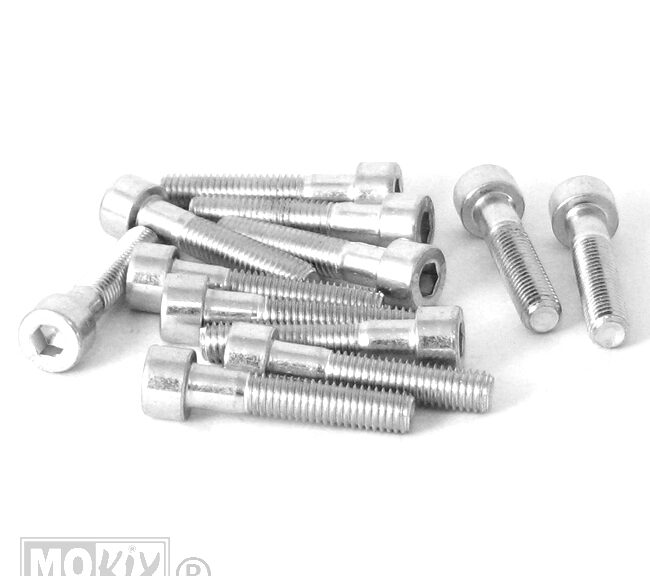 Inbus-Bout M 8x40 Elvz 12stuks - Bollard