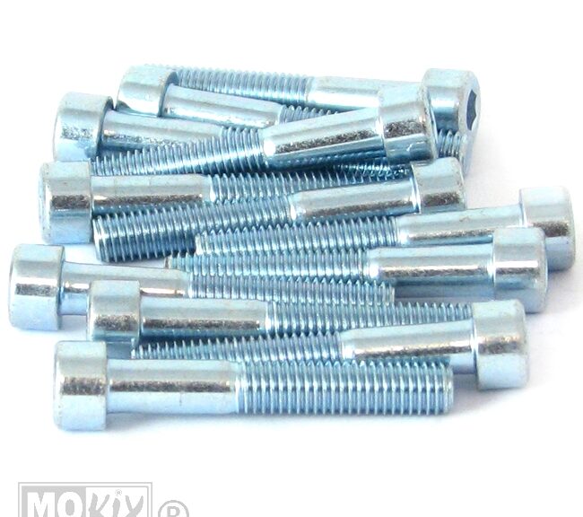 Inbus-Bout M 8x50 Elvz 12stuks - Bollard