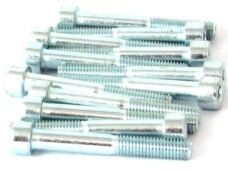 Inbus-Bout M 8x60 Elvz 12stuks - Bollard