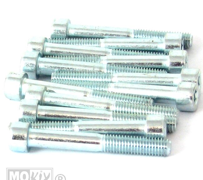 Inbus-Bout M 8x60 Elvz 12stuks - Bollard