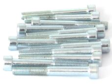 Inbus-Bout M 8x65 Elvz 12stuks - Bollard