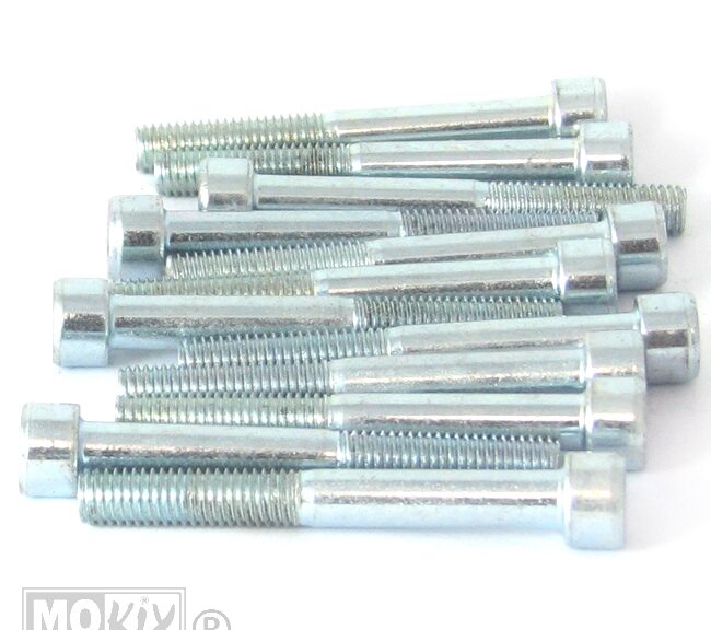 Inbus-Bout M 8x65 Elvz 12stuks - Bollard