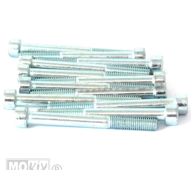 Inbus-Bout M 8x70 Elvz 12stuks - Bollard