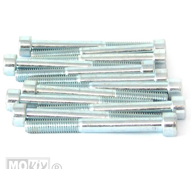 214875 INBUS-BOUT M 8x75 ELVZ 12stuks