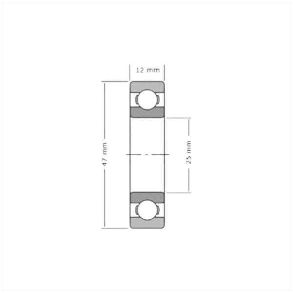 Lager SKF 25-47-12 6005 2Z (1)
