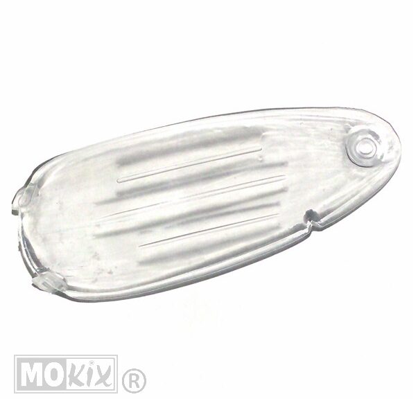 RAW Cover Blank Beta ARK RV