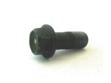 Remslang-Bout M10x1.25 Yamaha 4T ORG